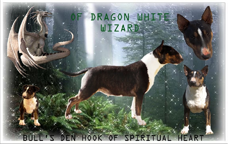 Bull's Den Hook of spiritual heart