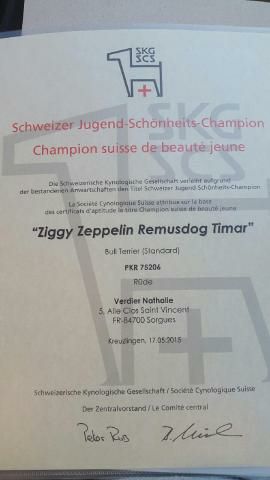 Of Dragon White Wizard - titre de jeune champion pr Balin